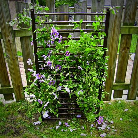 10 VEGETABLE GARDEN TRELLIS IDEAS – Slick Garden