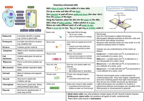 Aqa 9 1 Biology Cells Activity Teaching Resources