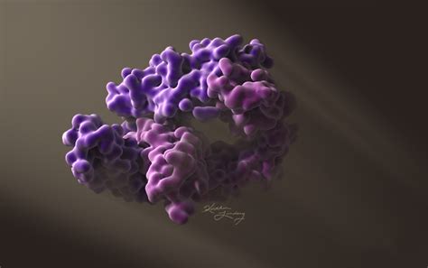 Immunoglobulin E – Art as Applied to Medicine