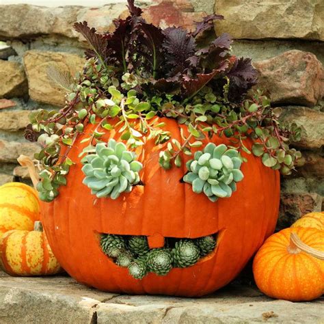 Simple Ways To Make A Pumpkin Planter Blitsy