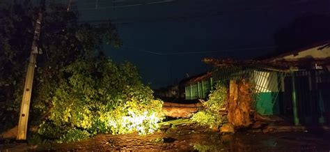 Chuva e ventos fortes em Teresina derrubam árvores e deixam bairros sem