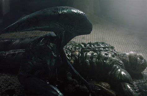 Space Jockey Xenomorph: Alien Born From An Engineer | AvP Central