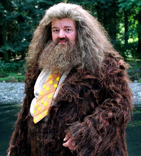 Harry Potter Hagrid's - Rubeus Hagrid - Harry Potter Wiki