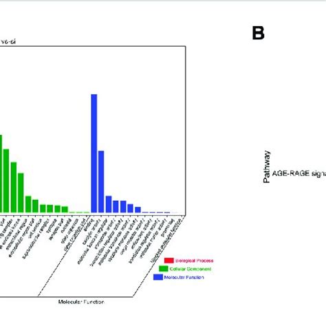 Functional Enrichment Analysis Of De Mirnas A Go Enrichment Analysis