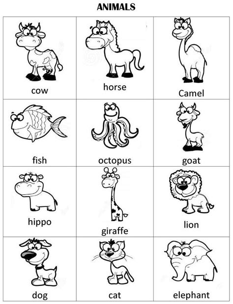 Free Set Of Animals Flashcards