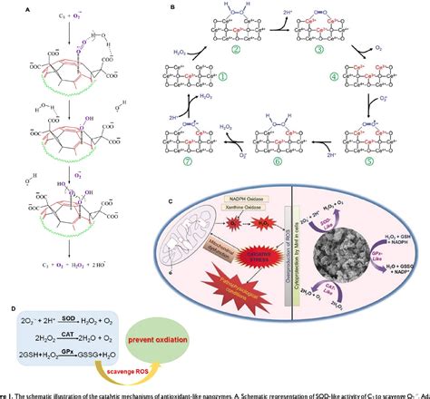 Figure 1 from The applications of nanozymes in neurological diseases ...