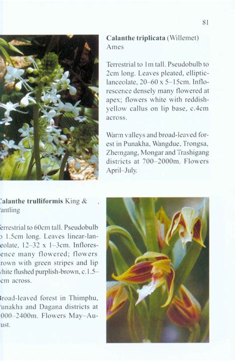 An Illustrated Guide To The Orchids Of Bhutan Nhbs Field Guides