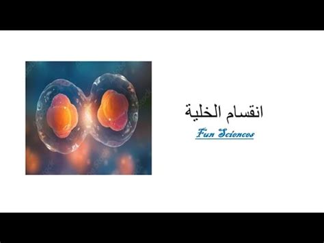 شرح درس انقسام الخلية للصف التاسع المنهاج السوري funsciences YouTube