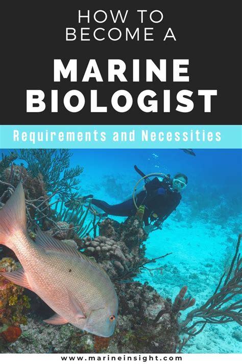 How To Become A Marine Biologist Requirements And Necessities Artofit