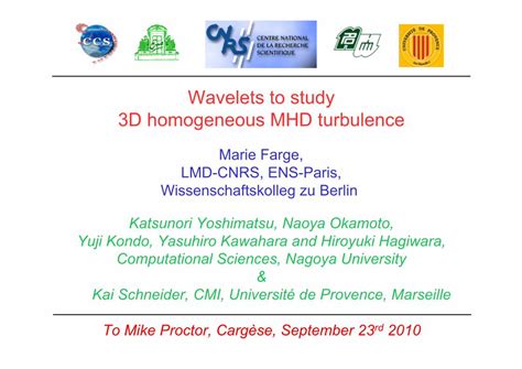 (PDF) Wavelets to study 3D homogeneous MHD turbulence · and their ...
