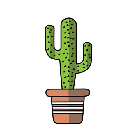 Dessiner Un Cactus Etape5