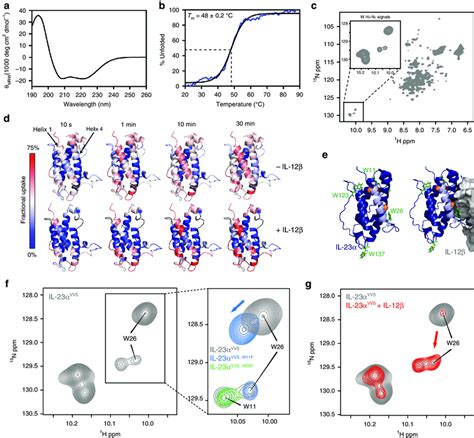 Helix 1 in IL 23α gains structure upon assembly with IL 12β a Far UV