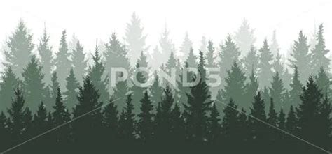 Forest Background Nature Landscape Evergreen Coniferous Trees Pine