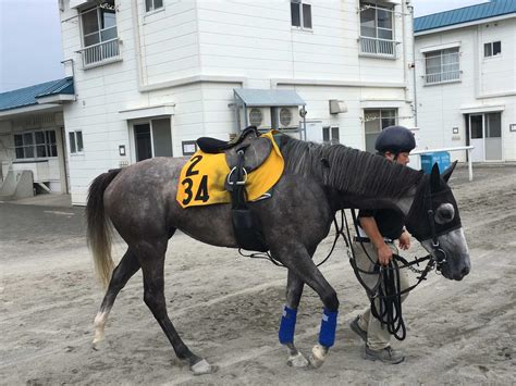 【札幌便り】開門ダッシュにファンの気迫 クイーンsはウインピクシスで勝負 競馬写真ニュース 日刊スポーツ