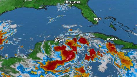 Tropical storm system expected to hit Florida as Category 1 hurricane