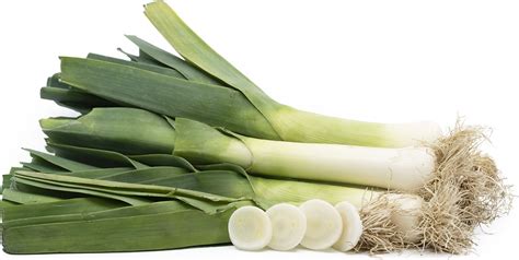 Leeks Information Recipes And Facts