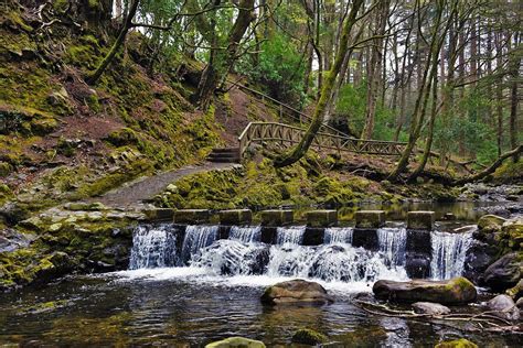 Tollymore Stepping Stones Photograph By Neil R Finlay Pixels