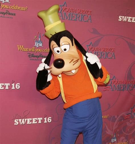 A former Disney World Goofy took to Reddit and revealed some insane ...