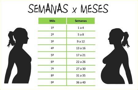 Quanto Tempo É 24 Semanas