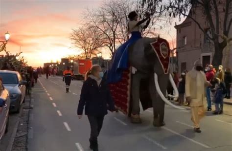 PACMA Afea Al Ayuntamiento De Medina Del Campo Que Haya Vuelto A Usar