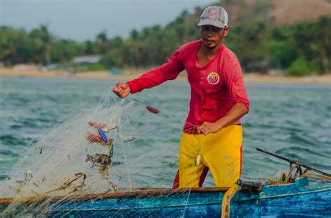 Ph Bets On Fisherfolk But Halts Policy Protecting Town Waters From Big