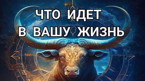 ♉ ТЕЛЕЦ Что ждет в ближайшее время и что спешит в Вашу жизнь РАСКЛАД