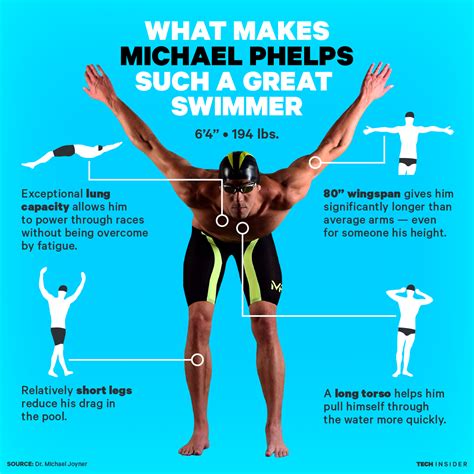 A Breakdown Of Why Michael Phelps Has The Perfect Body For Swimming