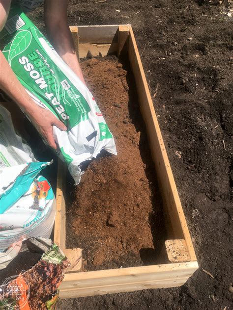 Where To Get Soil For Raised Beds