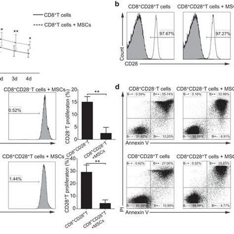 Mscs Increase The Percentage Of Cd8 Cd28− T Cells By Decreasing The