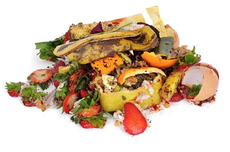 Food Waste Is An Environmental Problem At The Edge US News