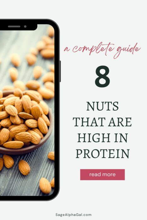 High Protein Nuts: Your Ultimate Snacking Guide