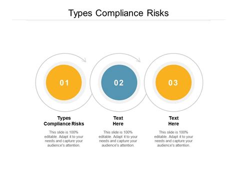 Types Compliance Risks Ppt Powerpoint Presentation Summary Outline Cpb