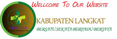 Website Resmi Upt Puskesmas Pangkalan Brandan Kabupaten Langkat