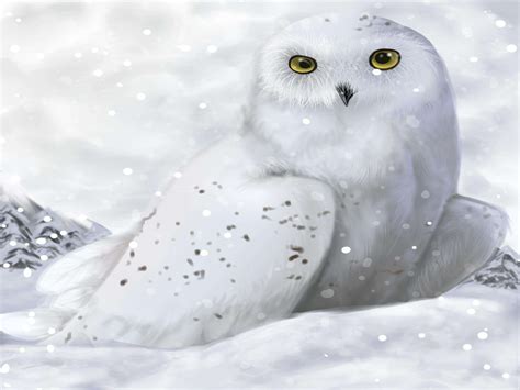 Cute Winter Owl Wallpapers - Top Free Cute Winter Owl Backgrounds ...