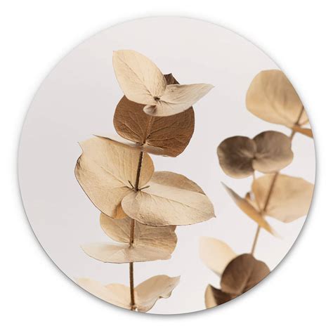 Alu Dibond X Studio Goldener Eukalyptus Rund Wall Art De