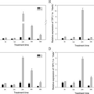 Chromosome Number Of Diploid And Autotetraploid Hanfu Apple A