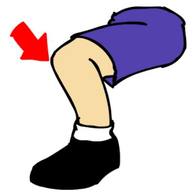 Knee Clipart Body Part Picture Knee Clipart Body Part