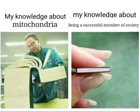 Mitochondria has 2 membranes : r/memes