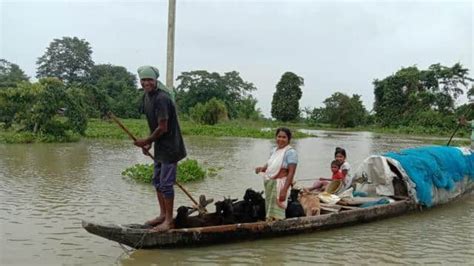 Assam Flood Situation Improves Marginally Over 11k People Affected In 3