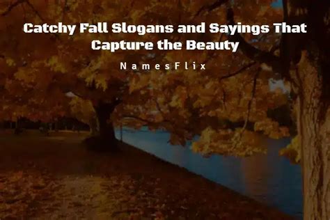 500+ Catchy Fall Slogans and Sayings That Capture the Beauty