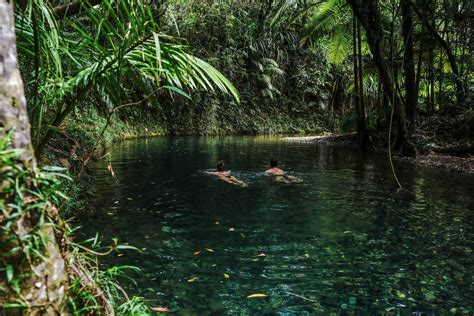 Total Daintree Experience Full Day Tour The Daintree Shop