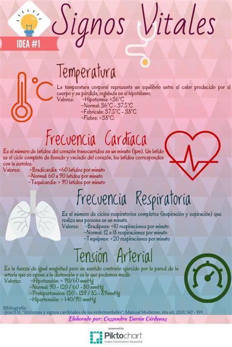 Infografia De Signos Vitales Kulturaupice Images And Photos Finder