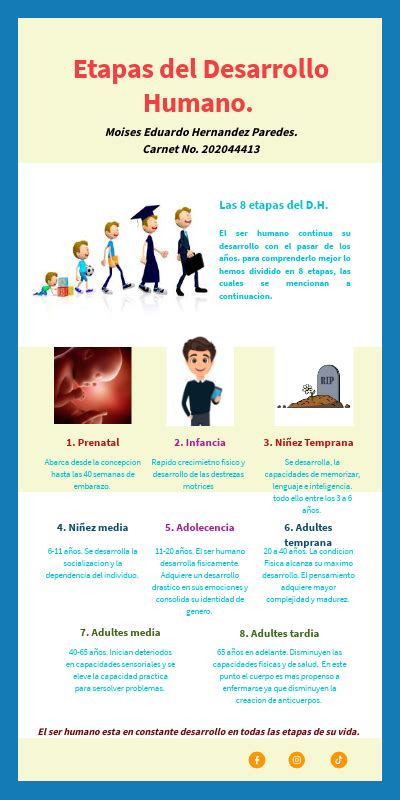 Infografia De Las Etapas Del Desarrollo Humano Free Hot Nude Porn Pic