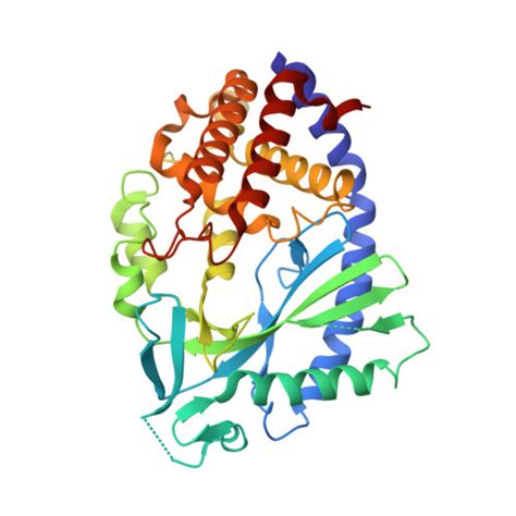 RCSB PDB 7FU2 Crystal Structure Of Human Cyclic GMP Synthase In