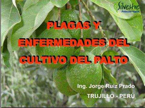 Libros De Agronomia Pdf Gratis Plagas Y Enfermedades Del Cultivo De