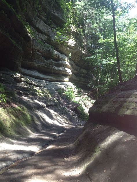 Starved Rock State Park | Starved rock state park, State parks, Natural ...