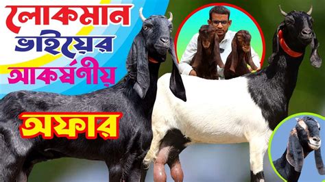 খুব সাশ্রয় মুল্যে পাচ্ছেন সর্বোচ্চ মানের আকর্ষণীয় উন্নত হাই কোয়ালিটি