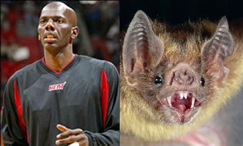 thewizwit remembering tyrone hill