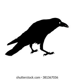 Silhouette Crow Different Positions Vector Illustration Stock Vector