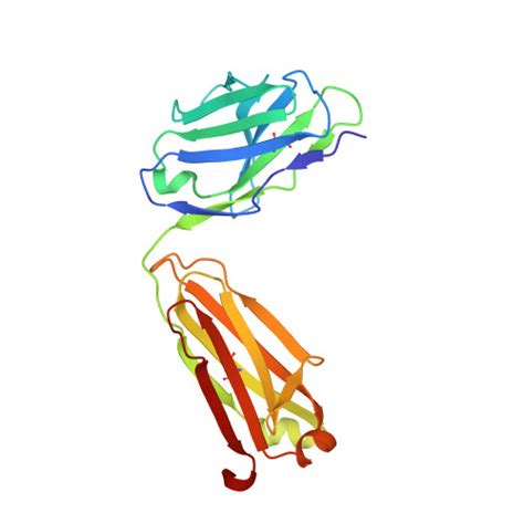 Rcsb Pdb 7dfp Human Dopamine D2 Receptor In Complex With Spiperone